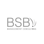 BSB_Management_Consulting