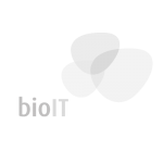 bioIT-GSK
